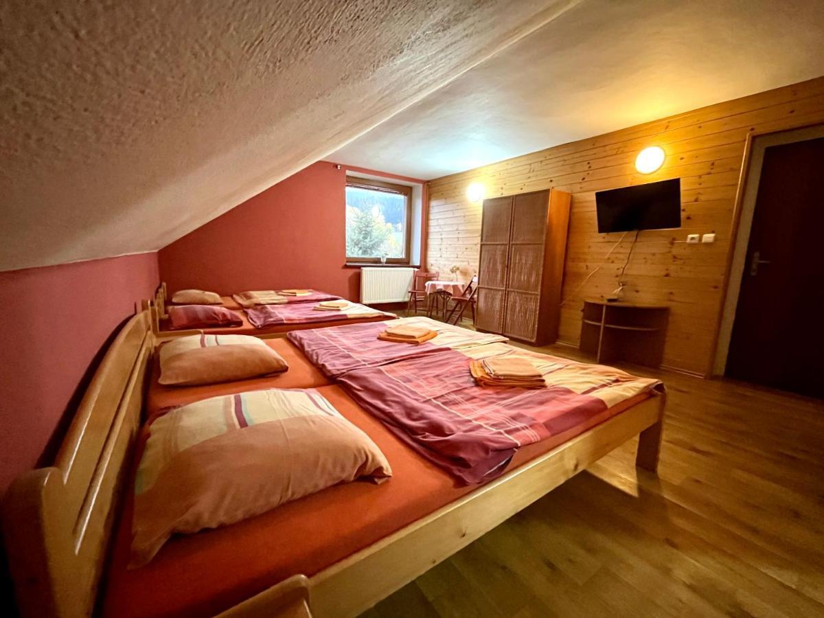 Penzion Horal Otel Dolní Morava Dış mekan fotoğraf