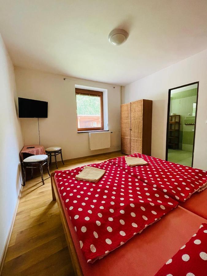Penzion Horal Otel Dolní Morava Dış mekan fotoğraf