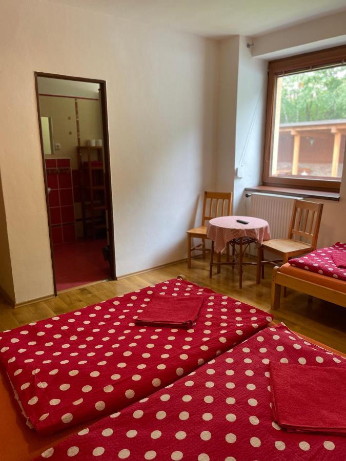 Penzion Horal Otel Dolní Morava Dış mekan fotoğraf